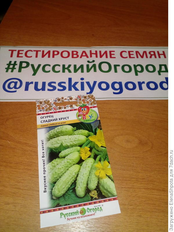 огурец Сладкий хруст