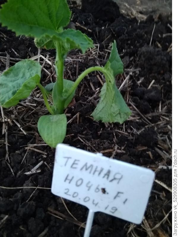 подготовка к посадке