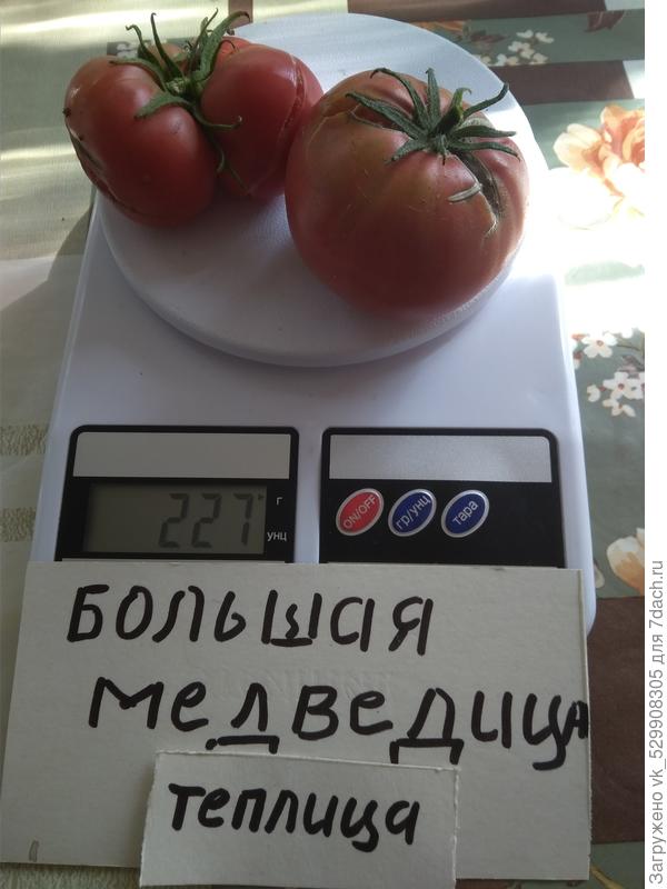 урожай