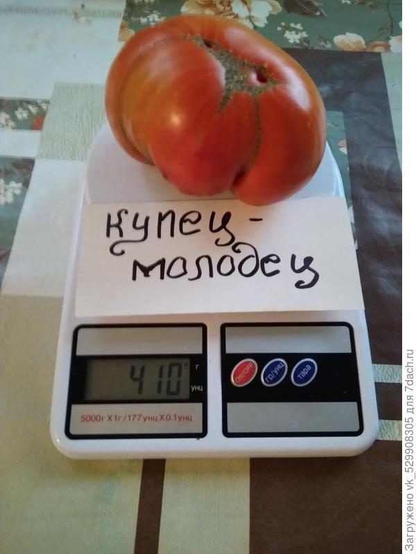 8.10