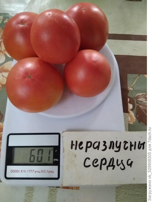 сезон закрыт