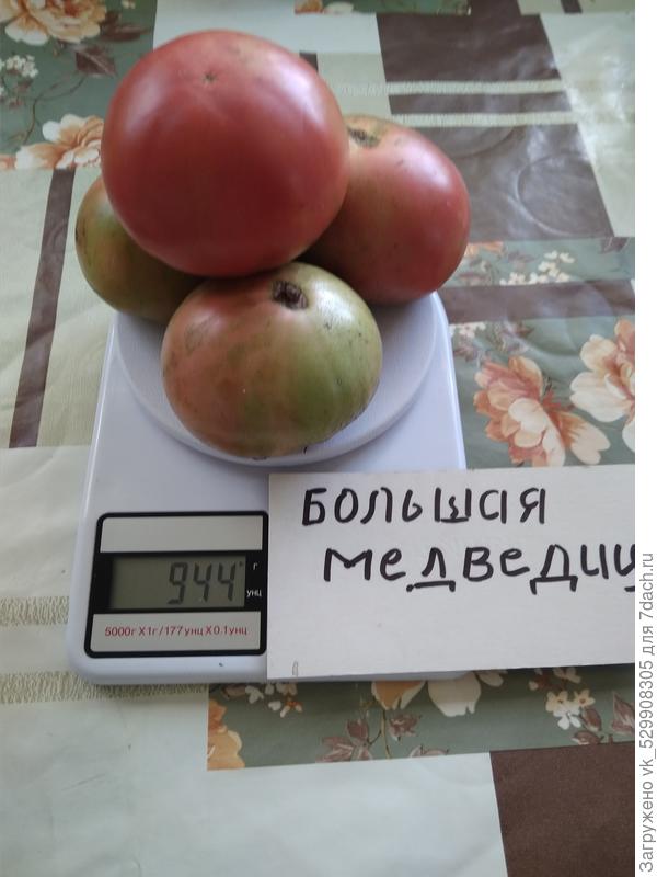 взвешивание
