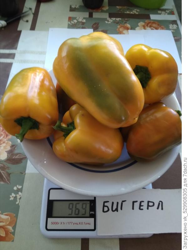 Вес перцев