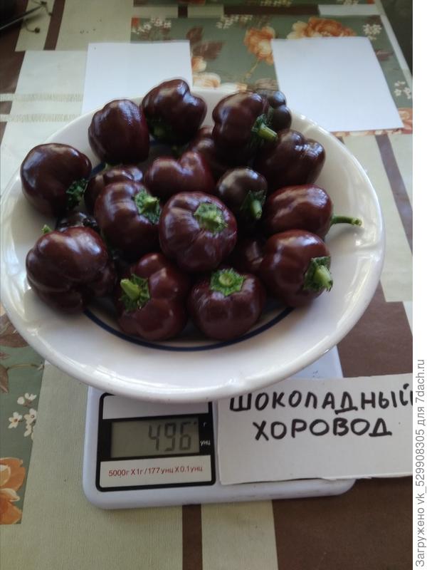 взвешивание