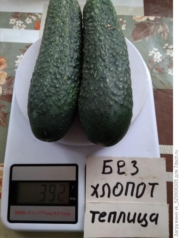 Урожай