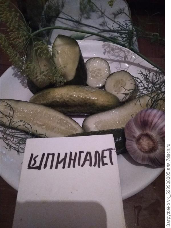 молосольные