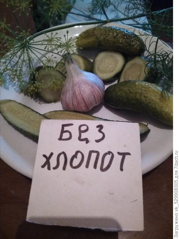 Засолка