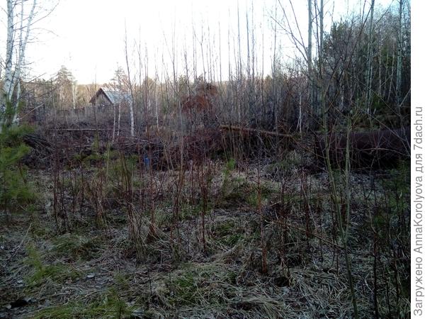 Полисадник))