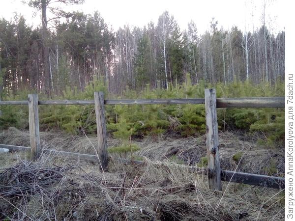 Соседи 2 и 3 выглядят так