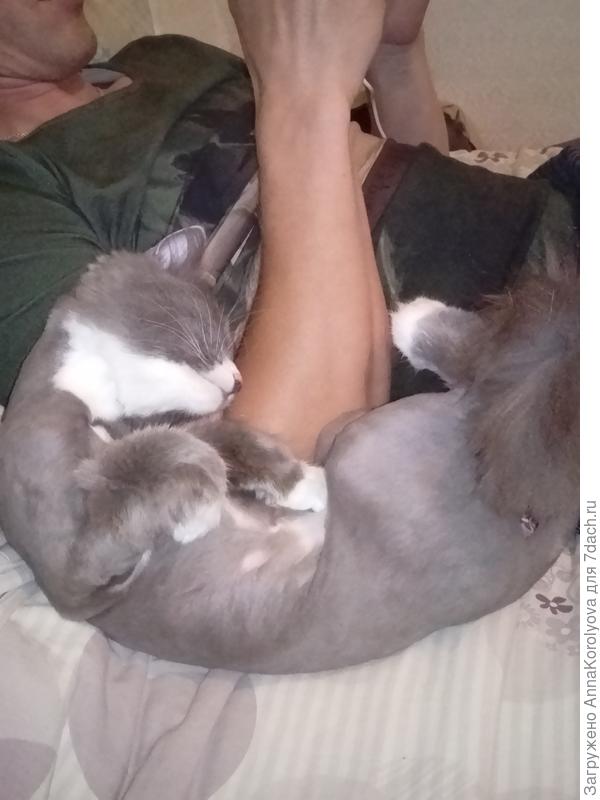 Папочка любииииимый!