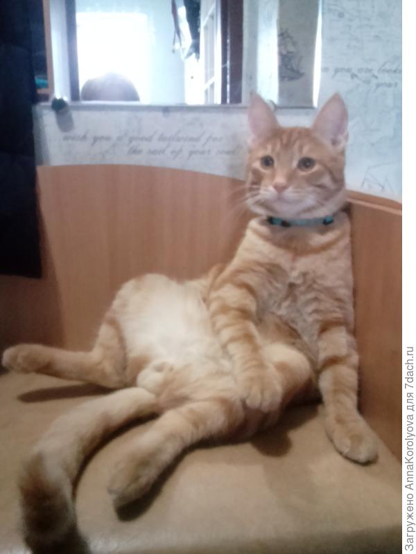 Тимофей Борисович