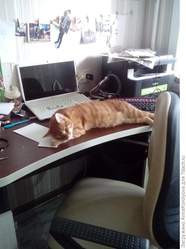 Делает уроки со старшей дочкой