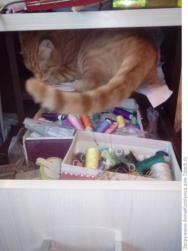 Раскладывает нитки по фэн-шуй