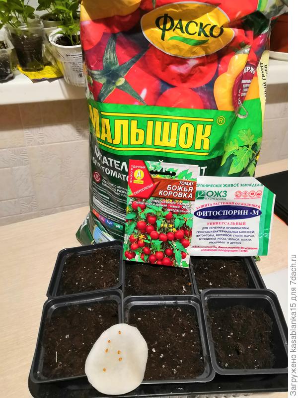 Семена