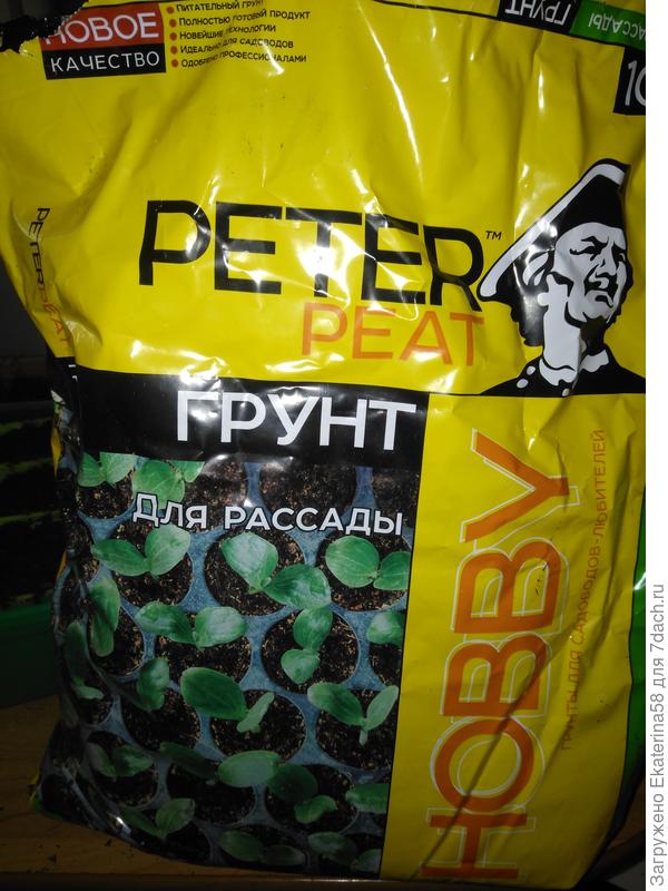 Грунт