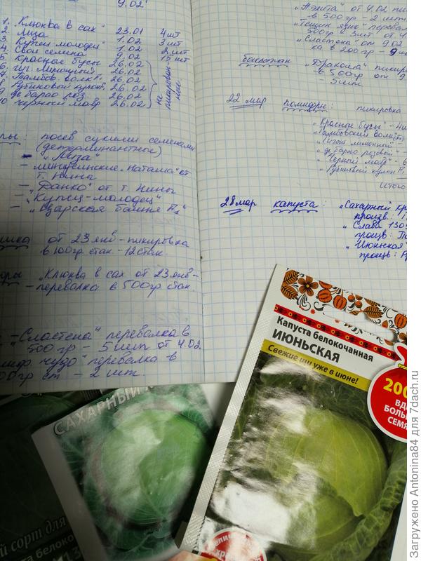 Записи о проделанной работе и наблюдения.