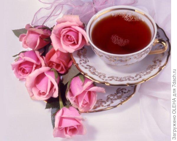 С МЕНЯ РЮМКА ЧАЯ ))))))))))))