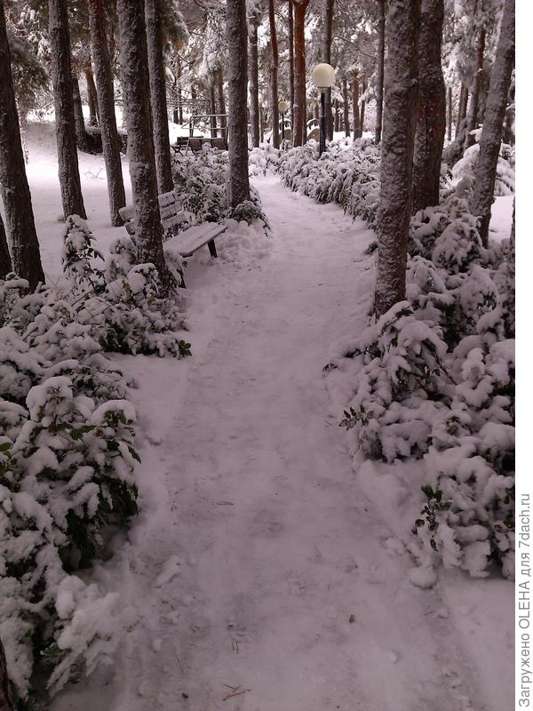 ДЛЯ ПРОГУЛОК ПО СКАЗКЕ