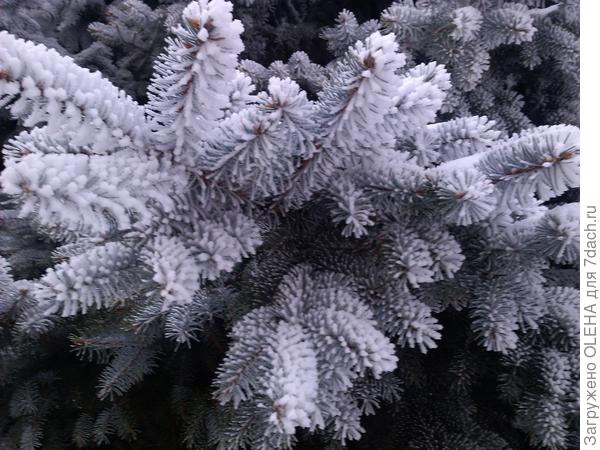 ТЕПЕРЬ БЛИЖЕ )))