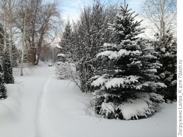 Жалко даже ходить)))