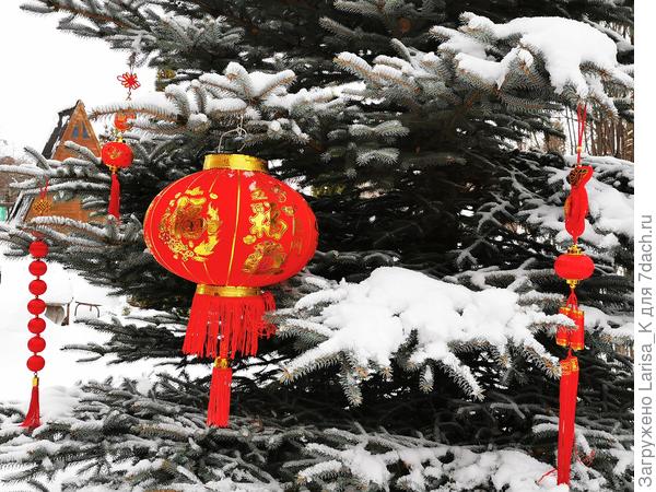 Китайские фонарики на русской елочке!!!