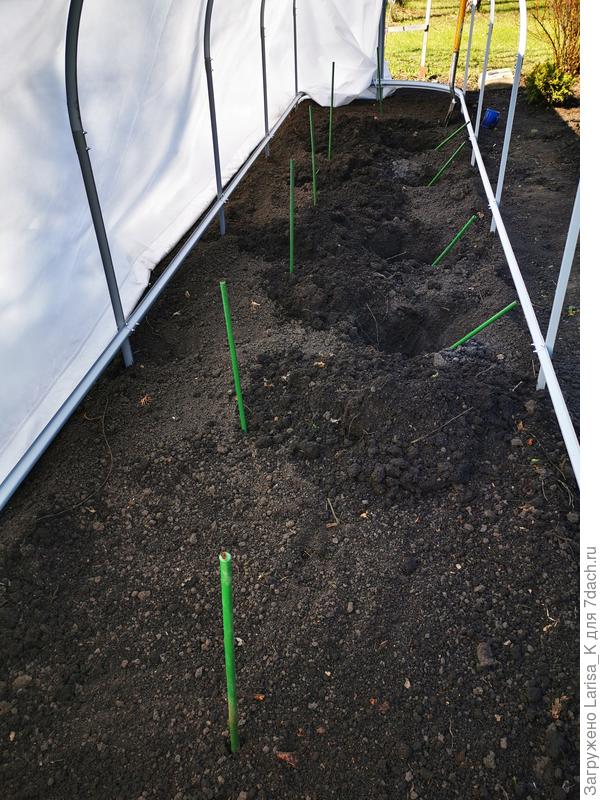 Вот здесь видно.