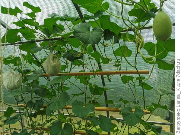 Другой ракурс