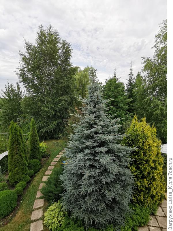 Вид из моего окна.  Сфотографировать так, чтобы в кадр не попали мужские игрушки от 5+ до 60+ невозможно)))