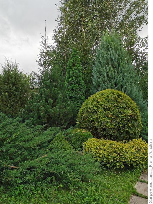 В центре узкая Колумна, круглая - Голден Глобе.