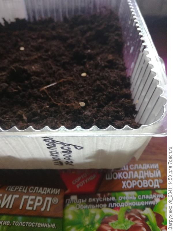 маркировка перца