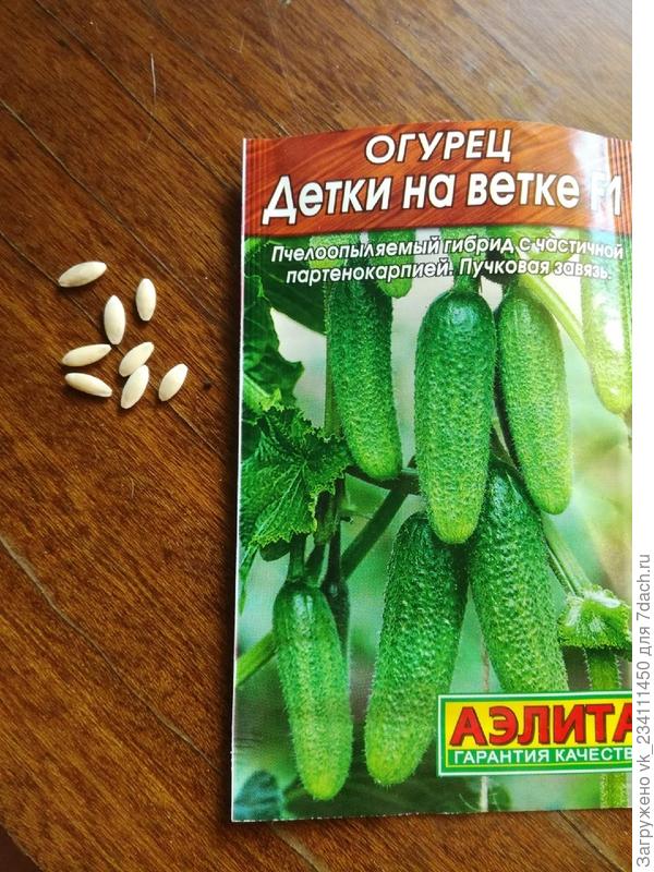 пакетик с семенами