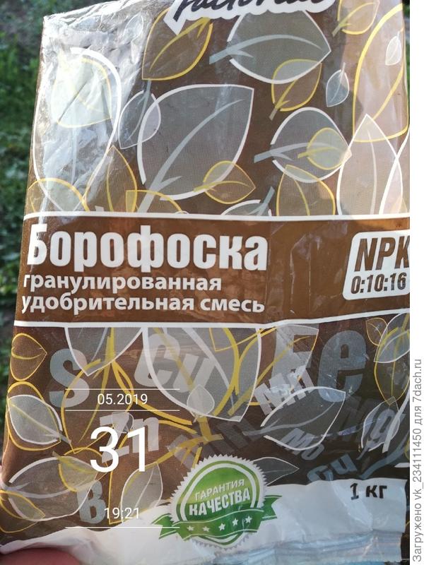 Борофоска