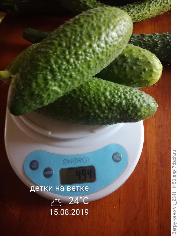 сбор