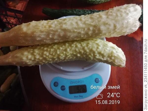 еще сбор