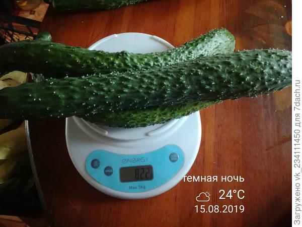 Сбор 7