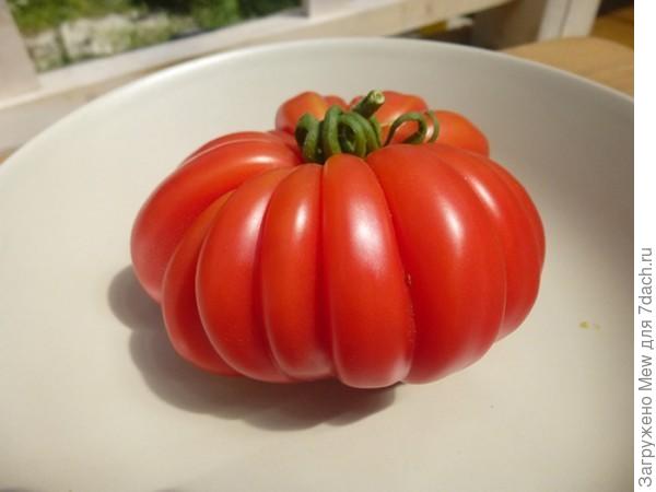 Американский ребристый помидор