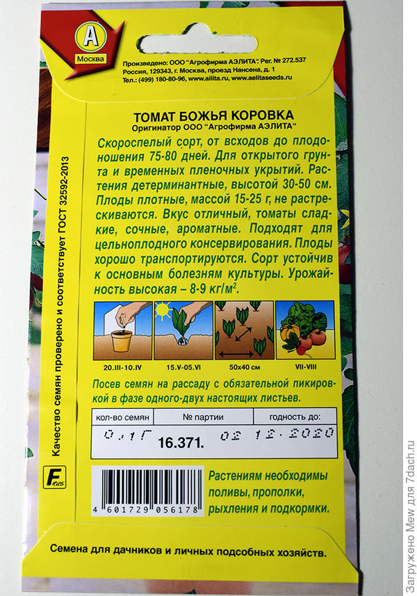 Божья коровка
