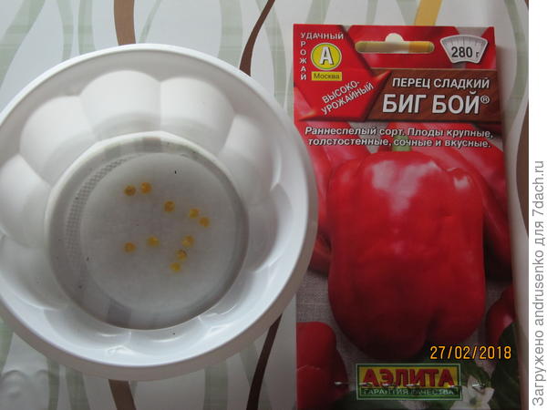 Семена.