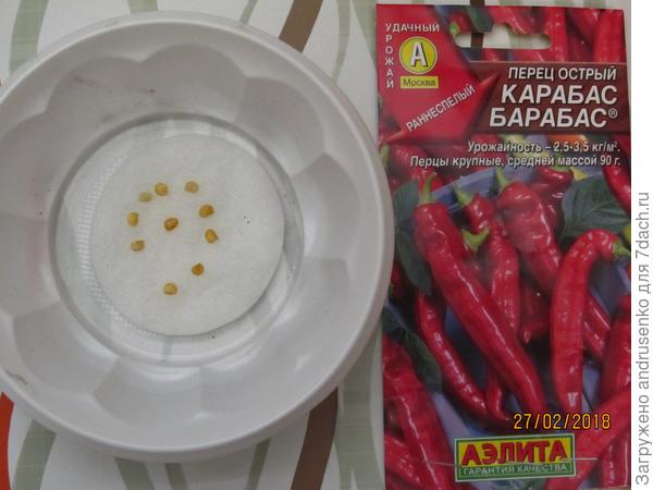 Семена.