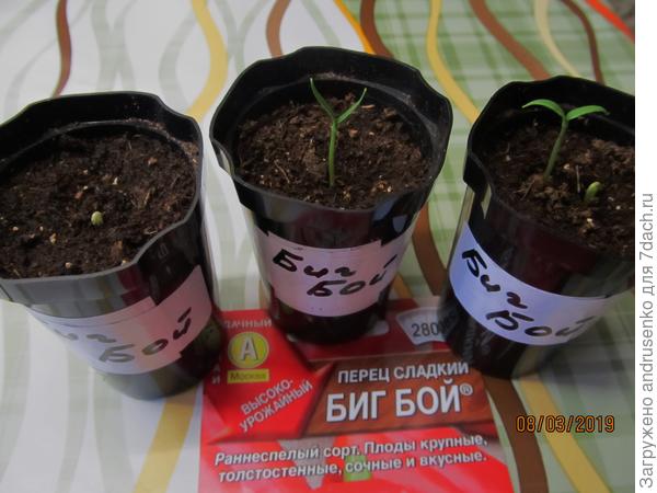 8 марта.