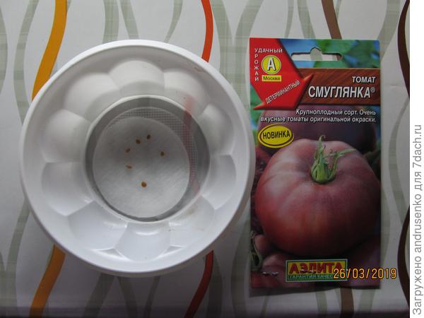 Замачивание семян.