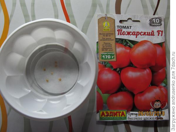 Замачивание семян.