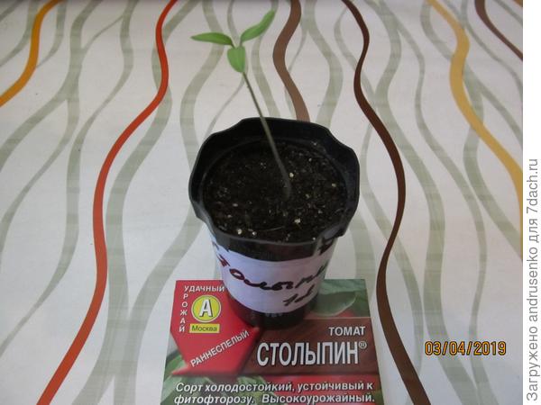 Печалька.