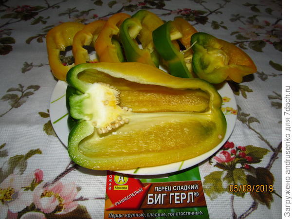 В разрезе.