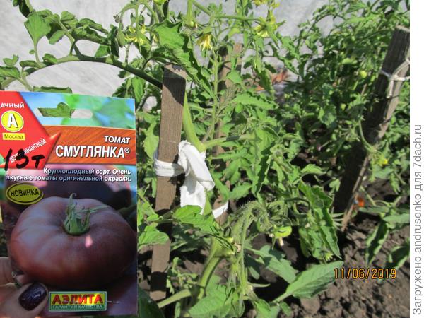 Как вырос.