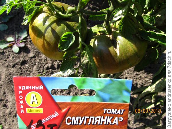 Еще покушаем.