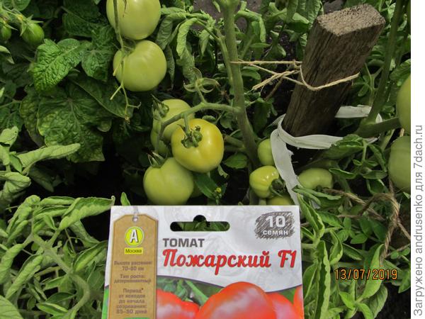 Скоро поспеют.