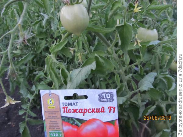 Фирменный "носик"