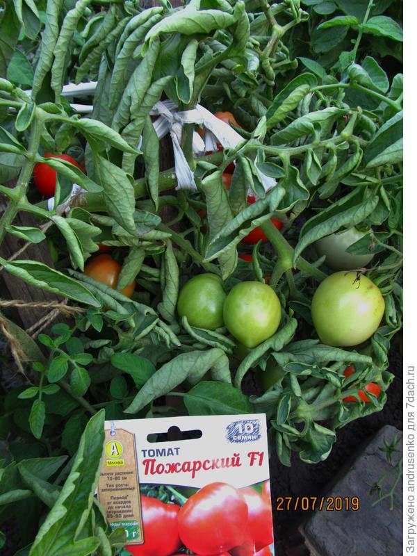 Кто молодец?!