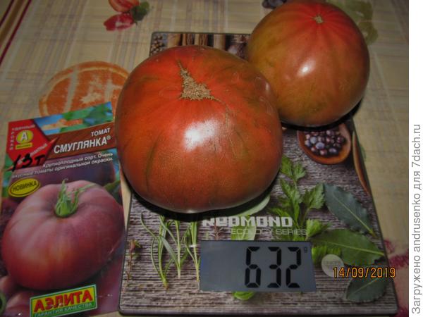 Из последнего сбора